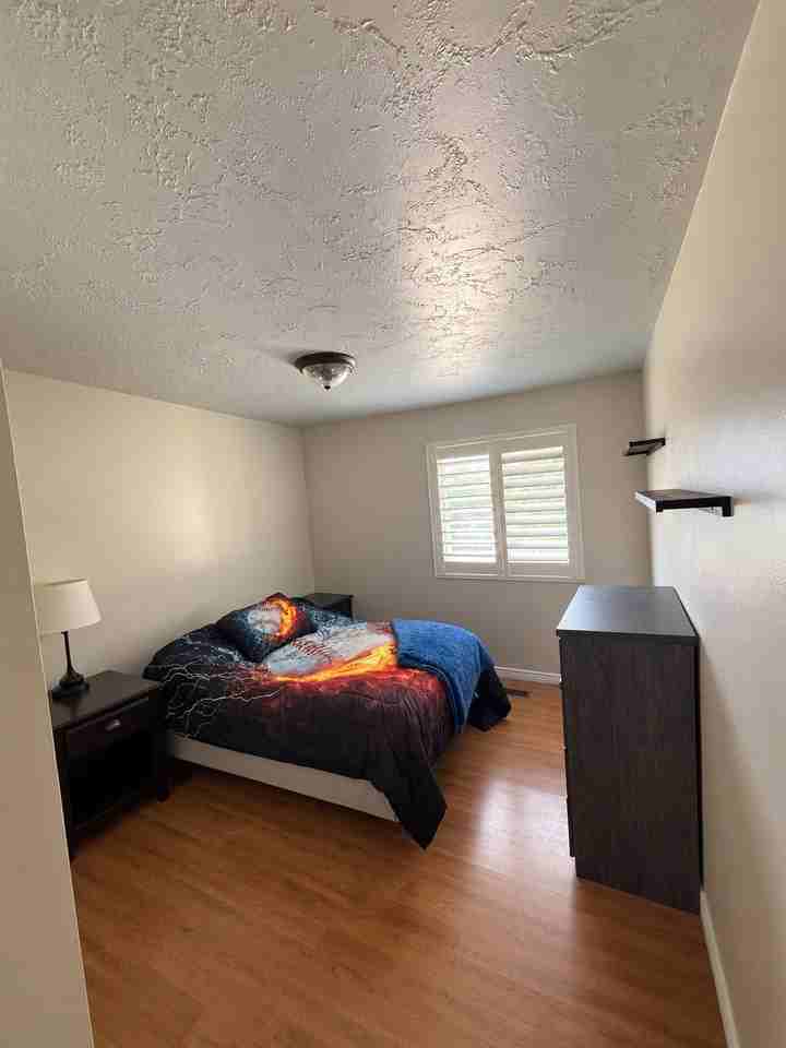 51 E Monticello Dr - Photo 3 of 14