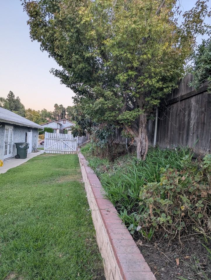 1113 Verona Pl #NA - Photo 6 of 13