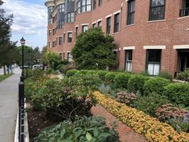 featured image of 40 College St #206