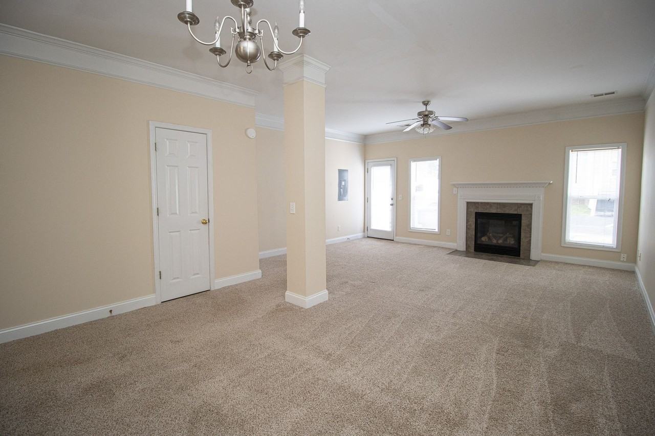 223 Forest Green Dr - Photo 4 of 23