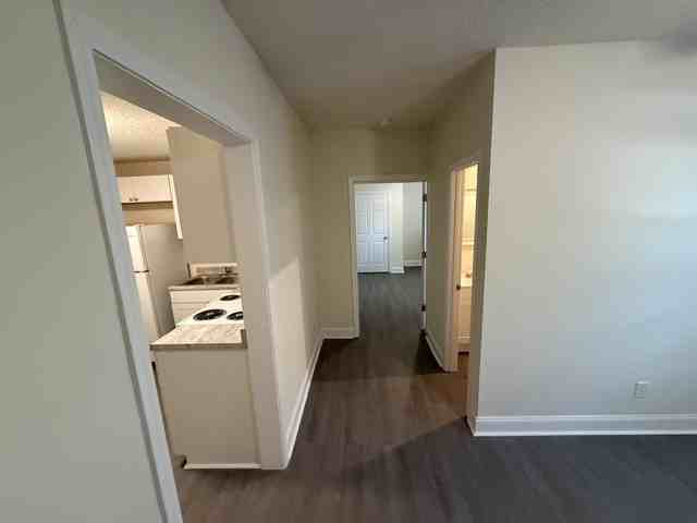 513 Bedford Ave #C - Photo 3 of 10