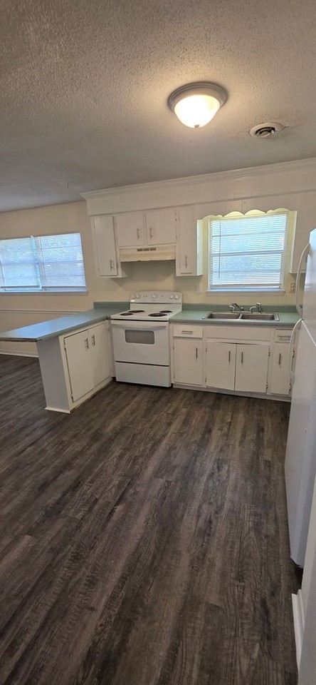 2009 Dallas Dr - Photo 4 of 12