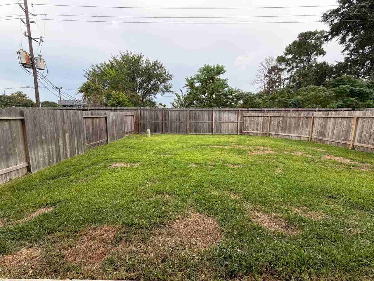 16802 Paintbrush Hollow Ln - Photo 6 of 22