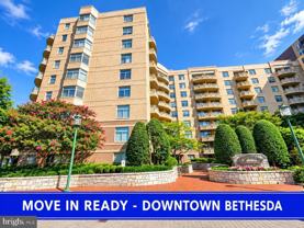 7111 Woodmont Ave #103 - Photo 1 of 1
