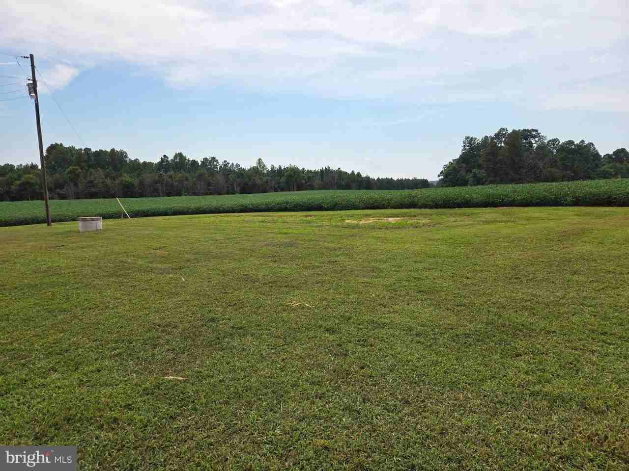 23432 Fork Bridge Rd - Photo 4 of 11