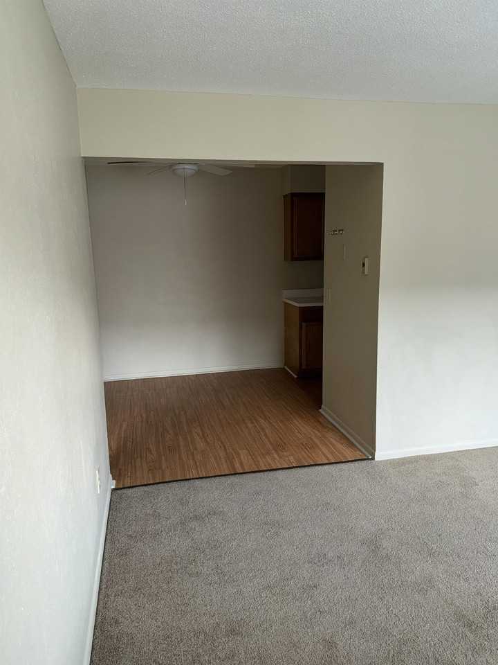 916 South Byrne Road - Photo 4 of 16