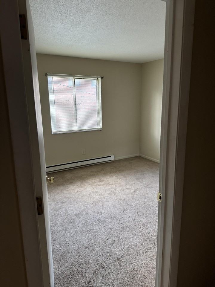 916 South Byrne Road - Photo 6 of 16