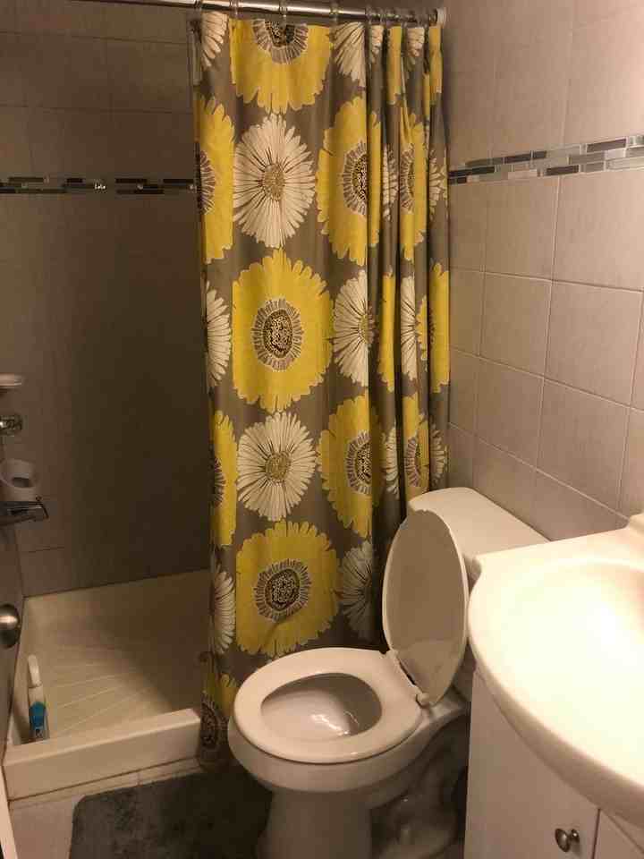3717 Baring St - Photo 3 of 20