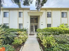 featured image of 117 Palmetto Ct