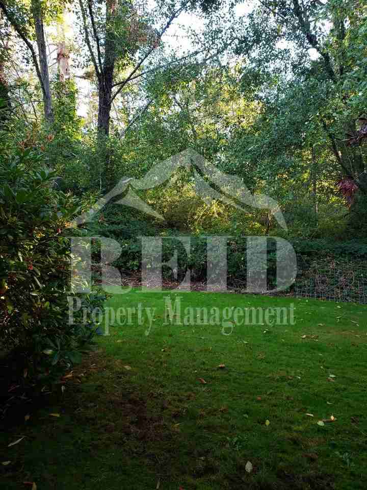 3206 Pine Rd - Photo 3 of 24