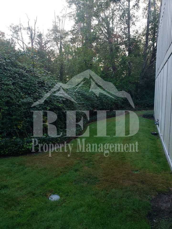 3206 Pine Rd - Photo 4 of 24