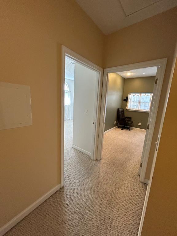 904 Carla Dr - Photo 7 of 12