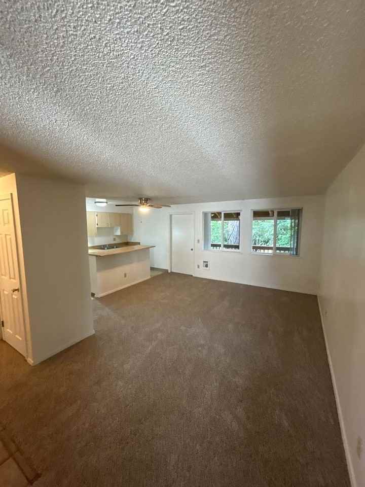 4788 Skyline Rd S #6 - Photo 3 of 15
