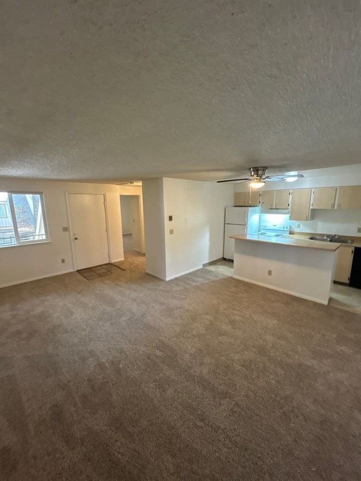 4788 Skyline Rd S #6 - Photo 4 of 15