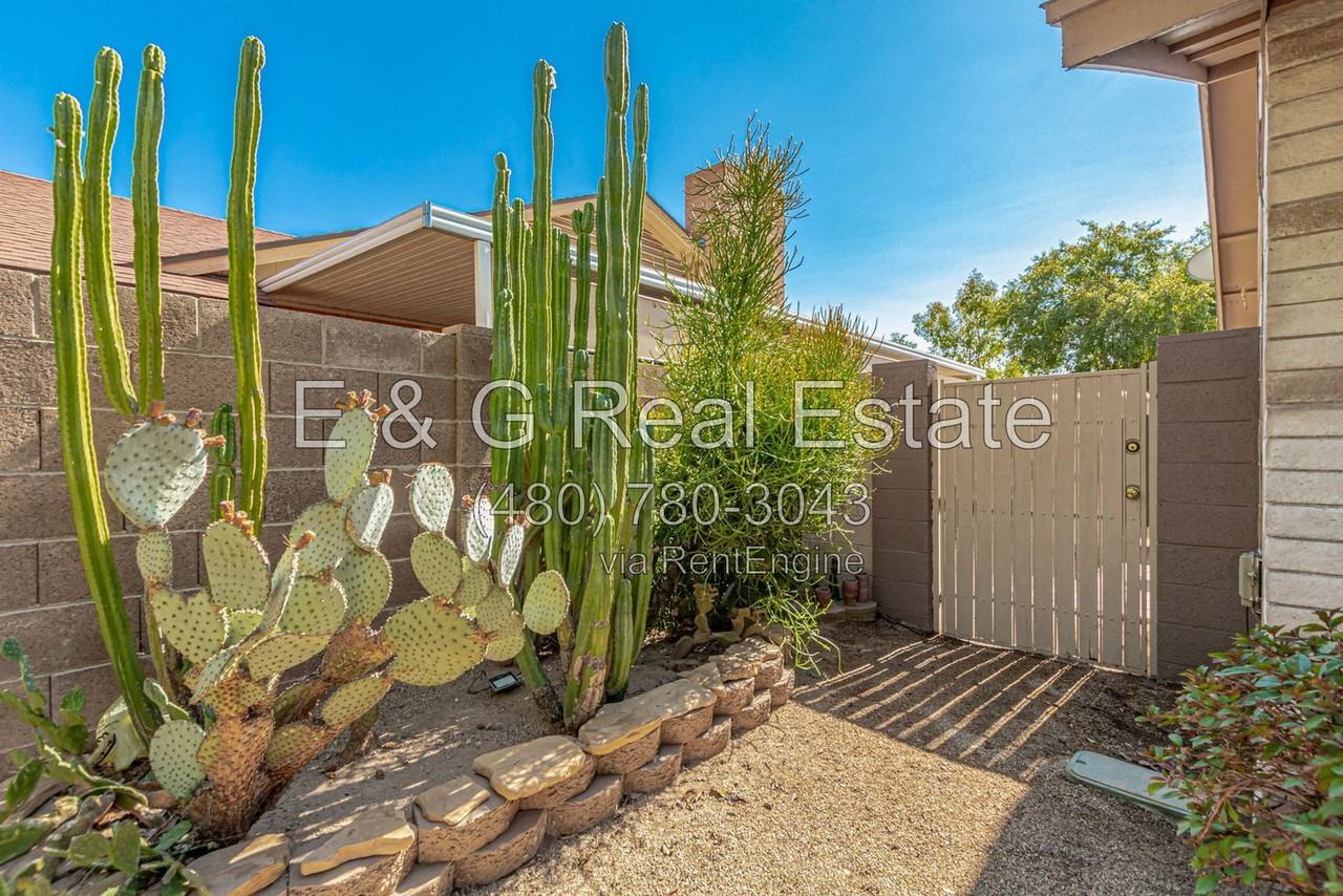 6243 W Cholla St - Photo 6 of 50