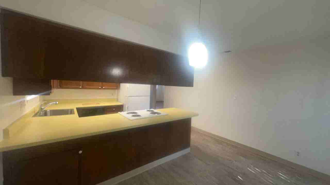 249 W Alexander Ave - Photo 7 of 18