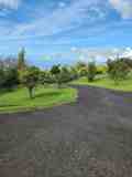 3014 Kekaulike Avenue: MultiFam - Photo 1 of 1