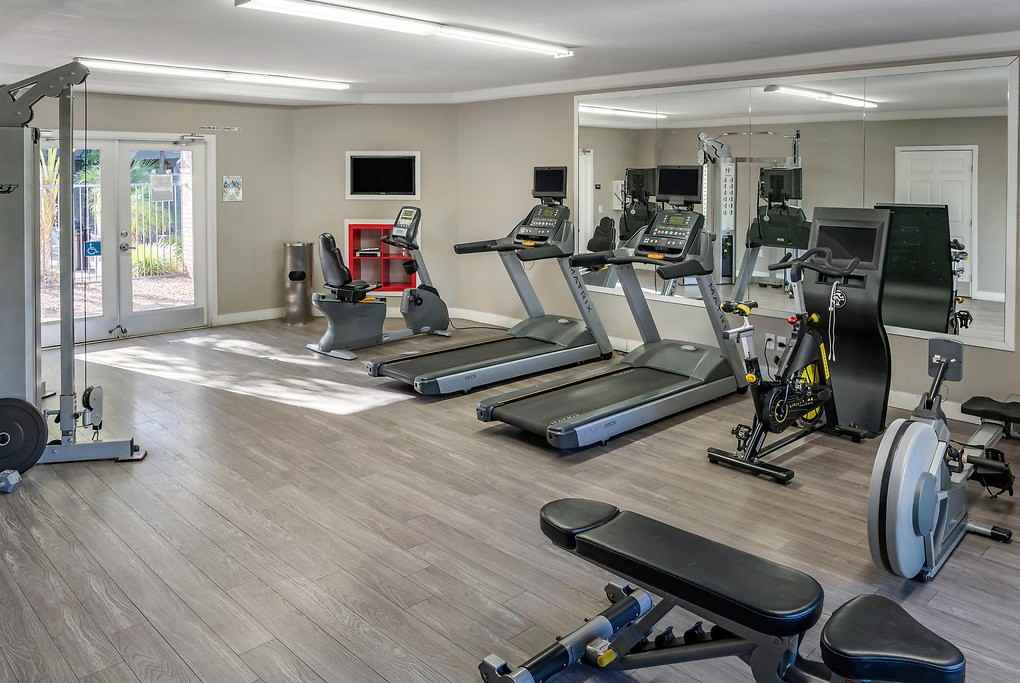 Regency at Mountain View - Photo 4 of 43