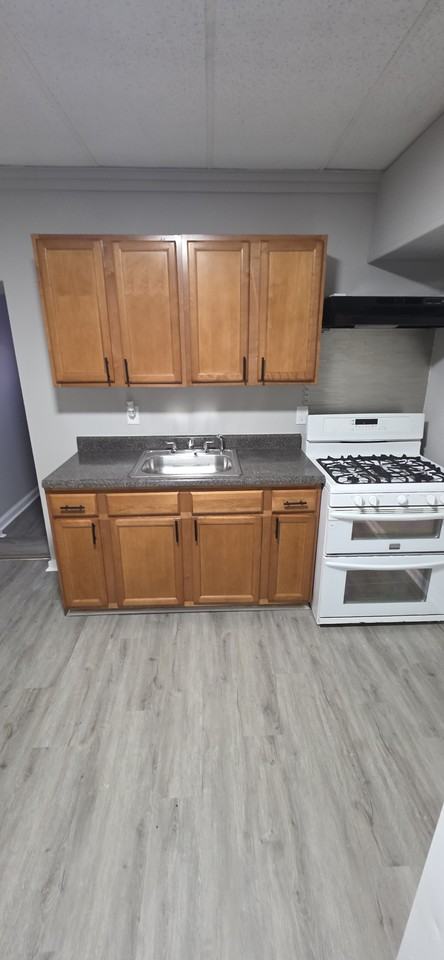 203 N Curley St - Photo 5 of 11