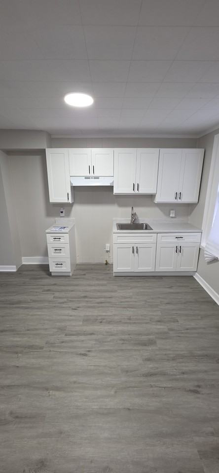 1203 Darley Ave - Photo 6 of 12