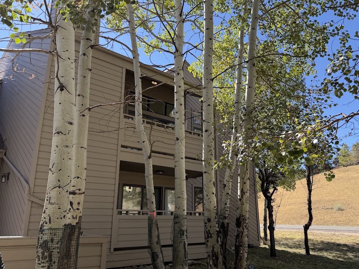 23700 Pondview Pl - Photo 3 of 31