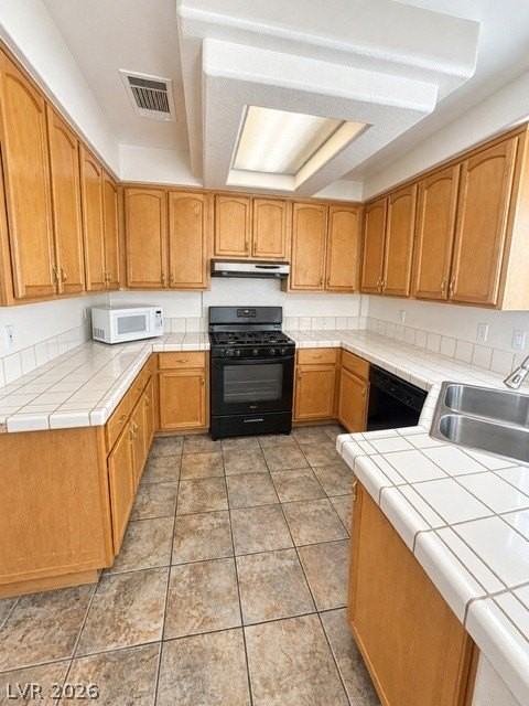 9543 Camelback Peak Ct - Photo 5 of 11