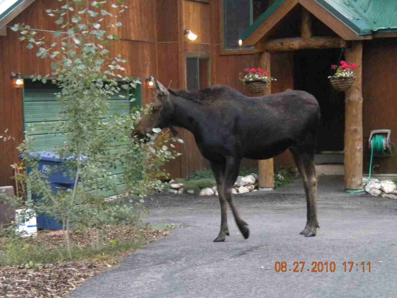 380 Aspen Dr #NA - Photo 7 of 7