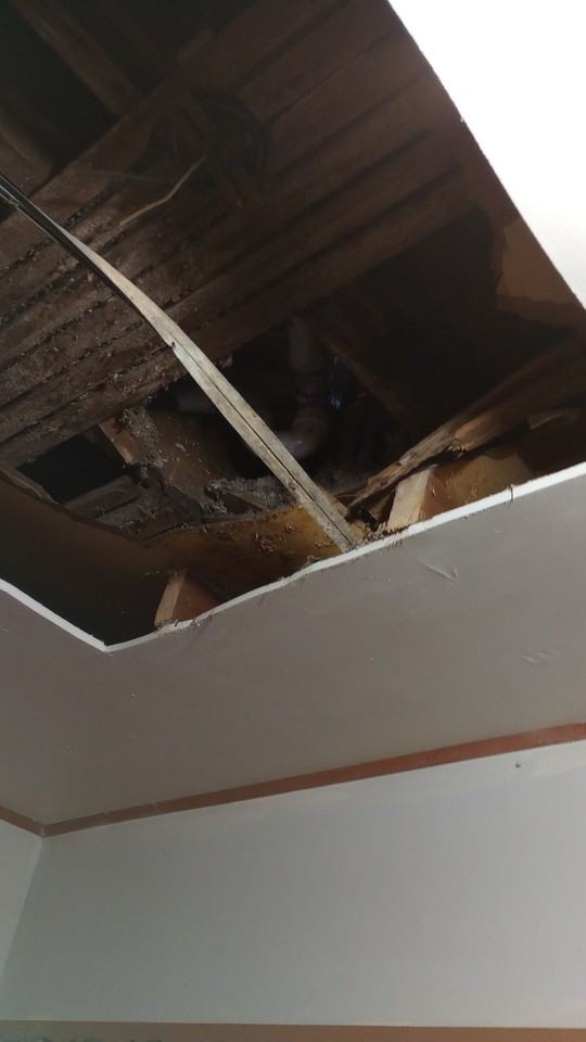 7 W Conron Ave #W - Photo 3 of 23