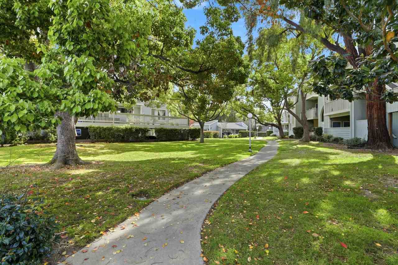 3685 Nutwood Terrace, Unit 313 - Photo 6 of 37