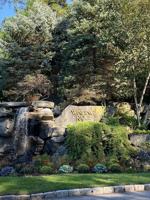 featured image of 51 Winding Ridge Rd