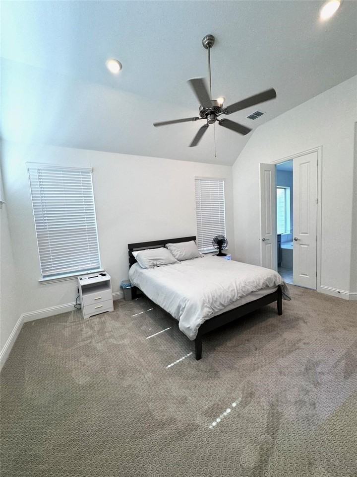 17305 Texas Pistache Dr - Photo 5 of 13