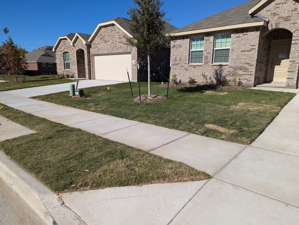 1824 White Ash Way - Photo 4 of 40