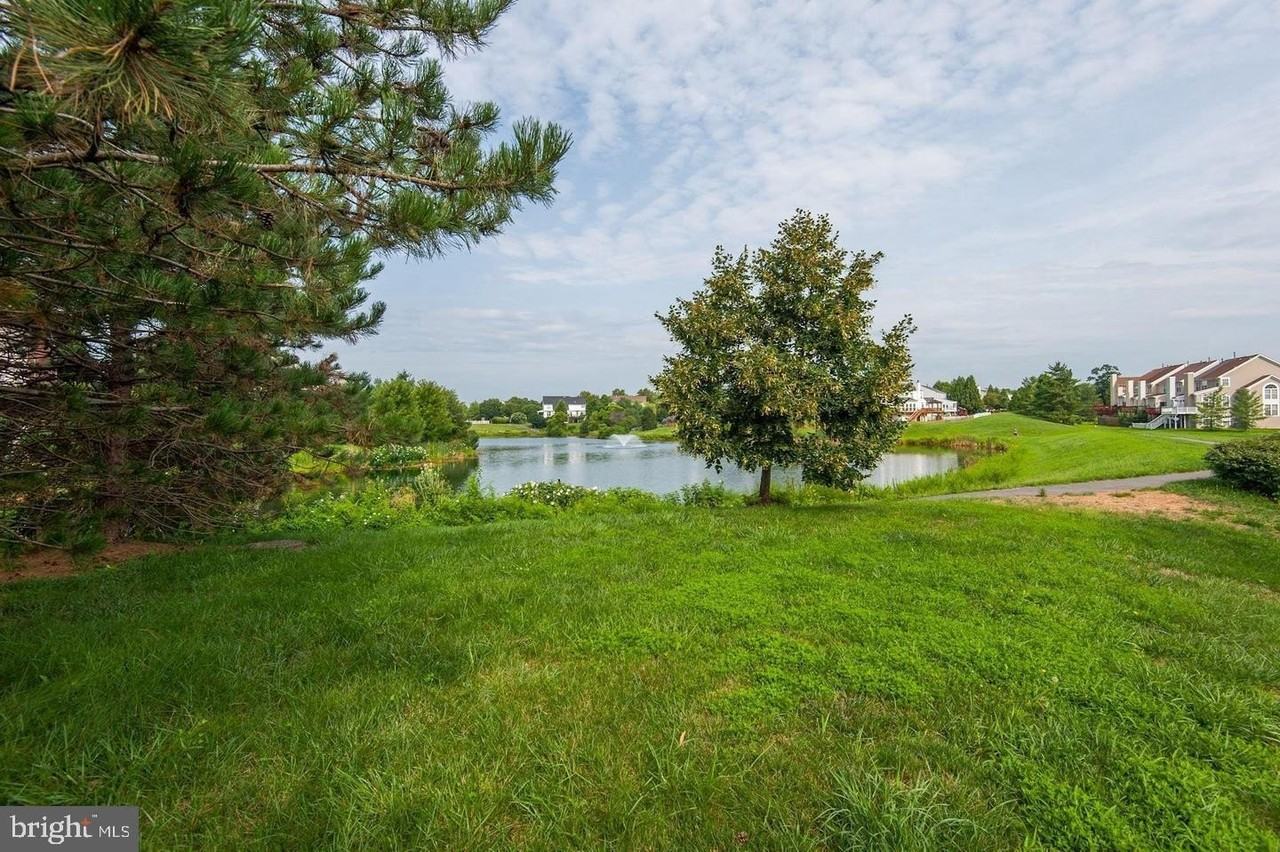 21264 Victorias Cross Ter - Photo 3 of 30