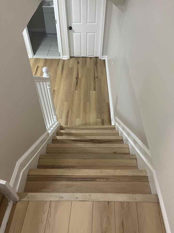 229 N Curley St - Photo 2 of 12