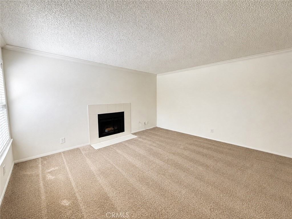 10655 Lemon Ave Apt 202 - Photo 3 of 19