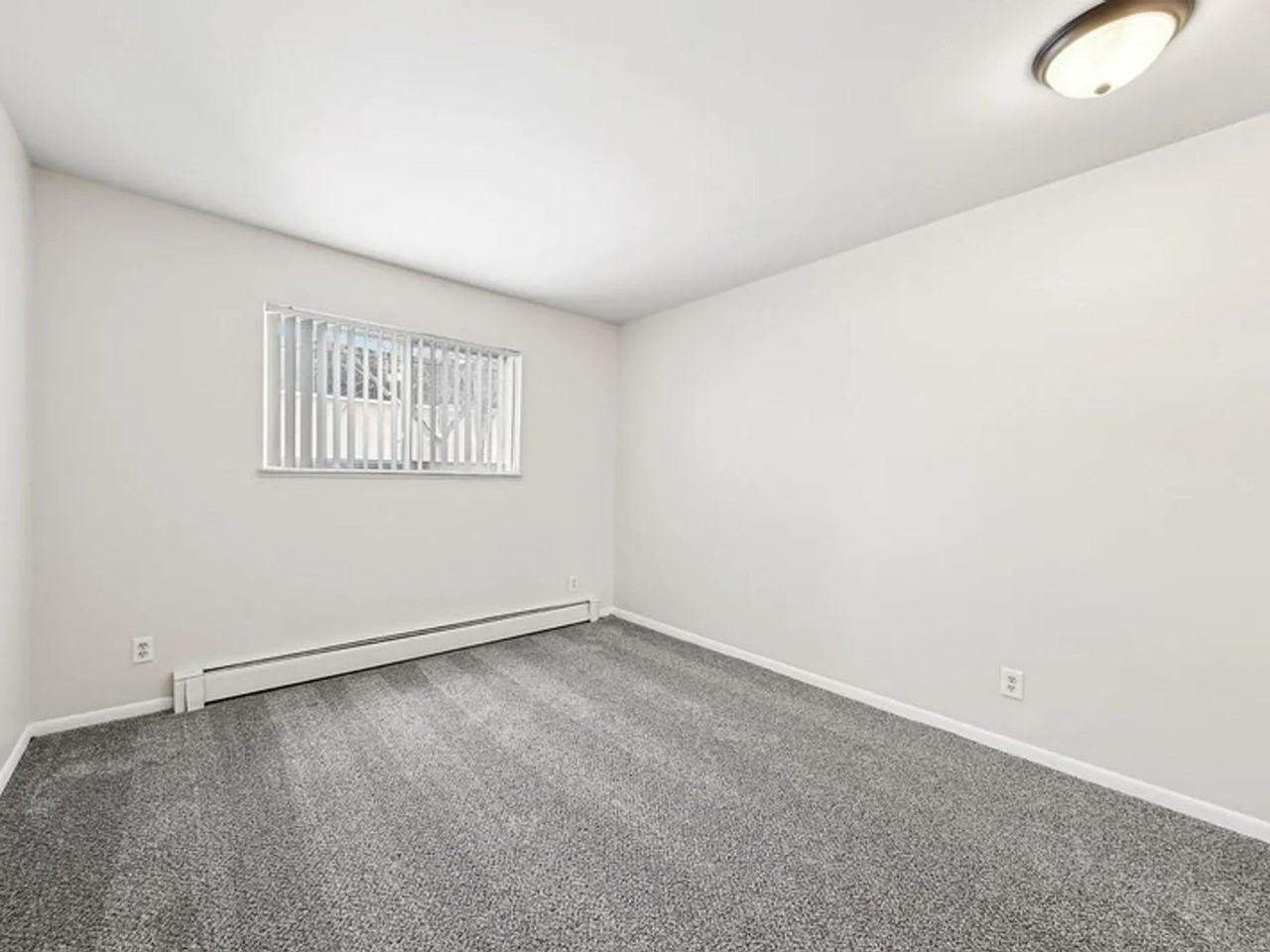 Williamsburg Apartments (Williamsburg 84 LLC) - Photo 4 of 16