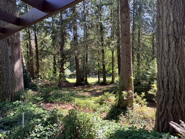 2118 Gravelly Beach Loop Nw - Photo 5 of 16