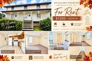 featured image of 342 Old Gray Station Rd #A