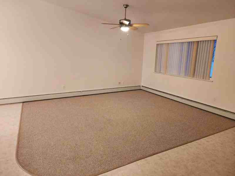803 Turner Dr - Photo 5 of 14