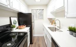 Rachel Manor - Photo 1 of 1