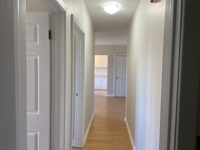 1236 Clarence Street #14 - Photo 5 of 9