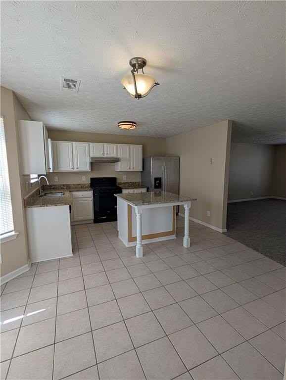 347 Springhaven Way - Photo 6 of 21