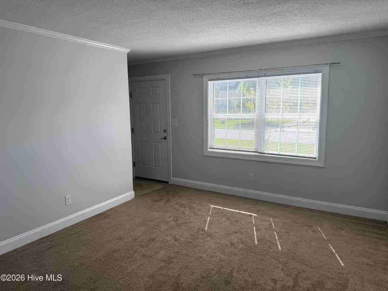 311 Jones Ave #3 - Photo 3 of 14