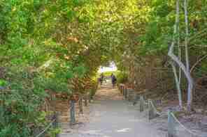 Jackson Way - Photo 7 of 8