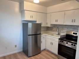 featured image of 1225 Plumas St