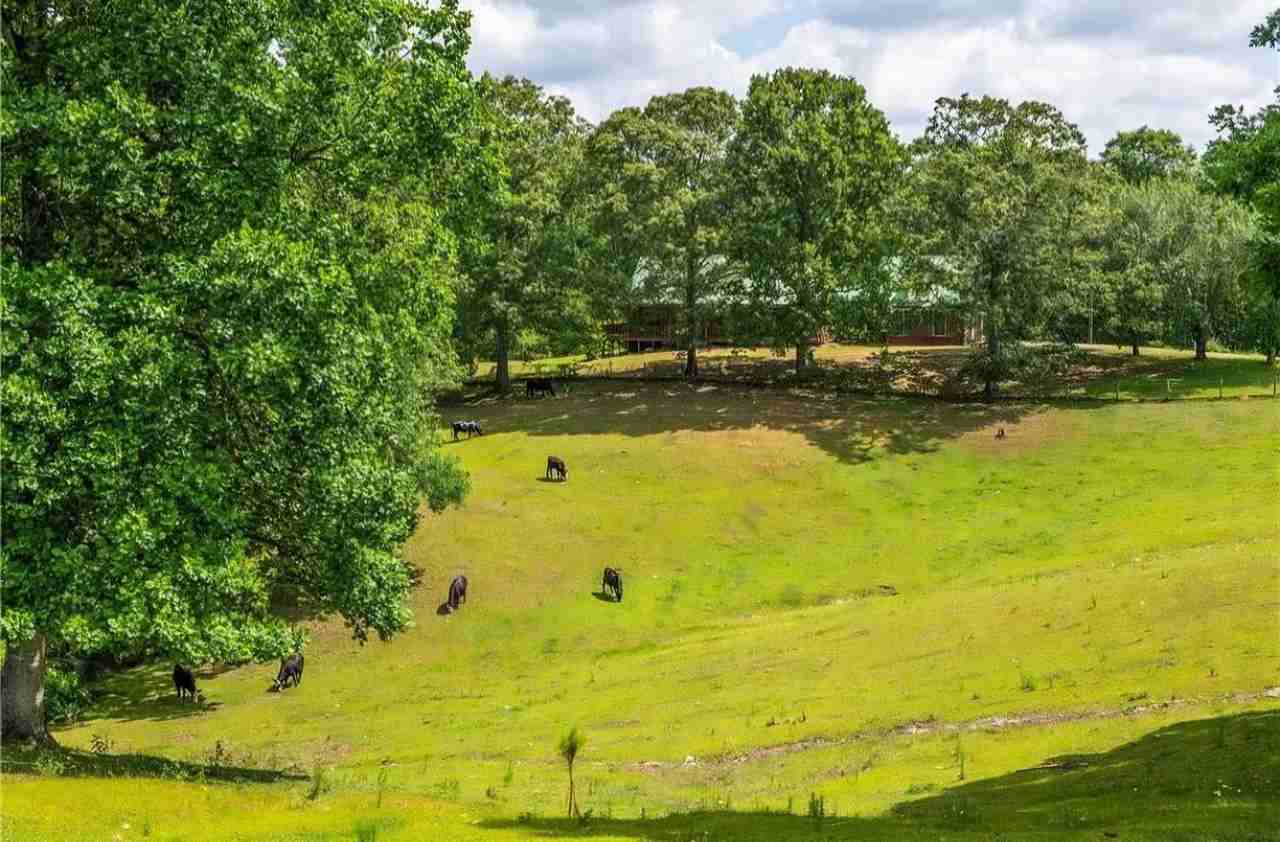 3806 Ball Ground Rd - Photo 5 of 18