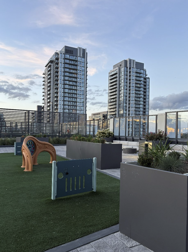 36 Zorra St - Photo 3 of 12