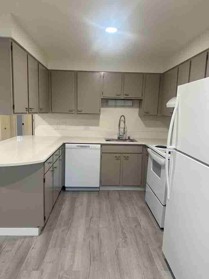 Tiki Apartments - Photo 2 of 16