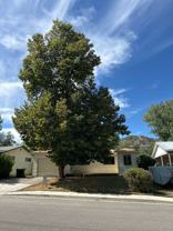 2409 Thomas Ave - Photo 1 of 1