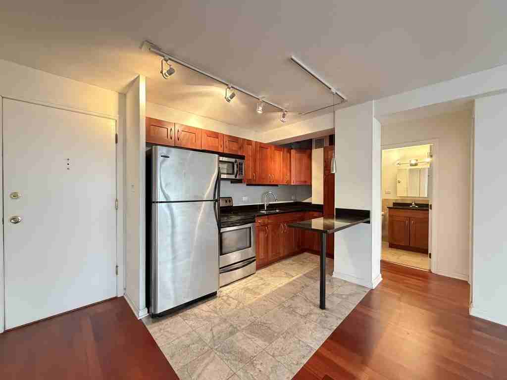 4180 N Marine Dr #1304 - Photo 3 of 21
